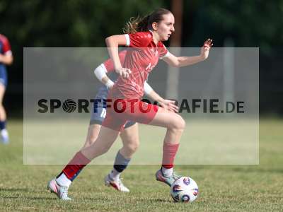 Bild-ID: 2576268