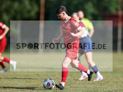 Bild-ID: 2576276