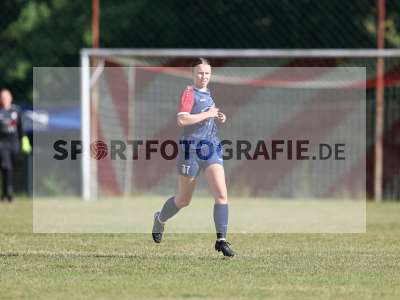 Bild-ID: 2576278