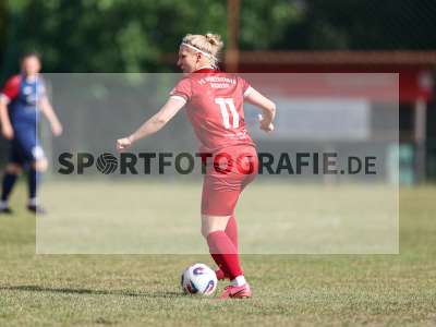 Bild-ID: 2576296