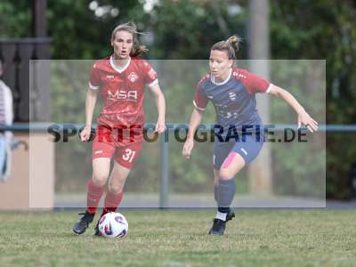 Bild-ID: 2576328