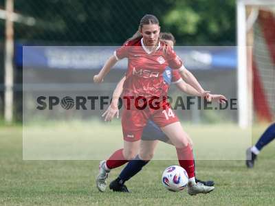 Bild-ID: 2576334