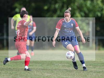 Bild-ID: 2576341