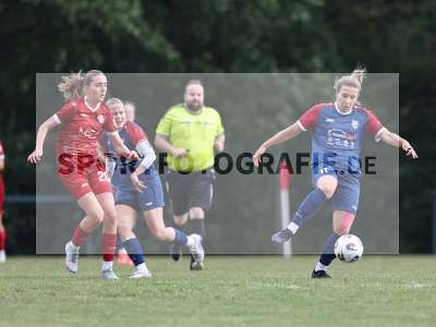Bild-ID: 2576354