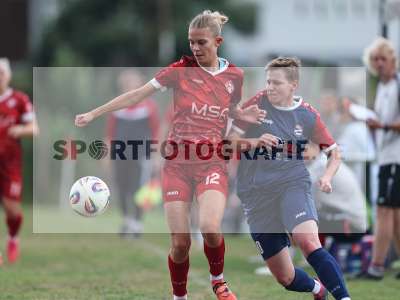 Bild-ID: 2576412