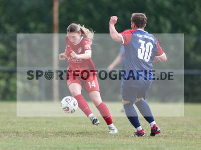 Bild-ID: 2576433