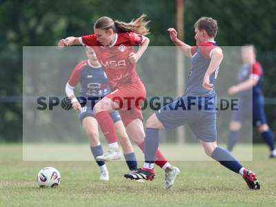 Bild-ID: 2576435