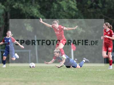 Bild-ID: 2576442