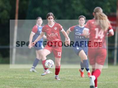 Bild-ID: 2576447