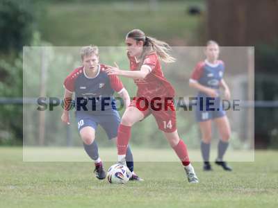 Bild-ID: 2576456