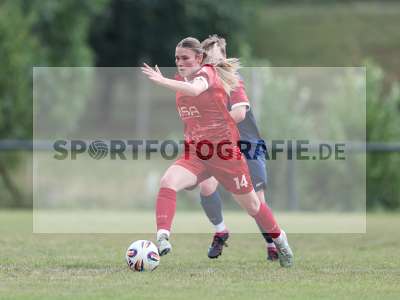 Bild-ID: 2576459
