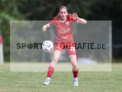 Bild-ID: 2576494