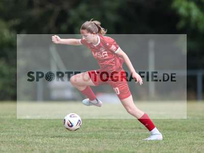 Bild-ID: 2576496