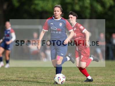 Bild-ID: 2576511