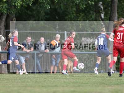 Bild-ID: 2576544