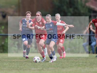 Bild-ID: 2576562