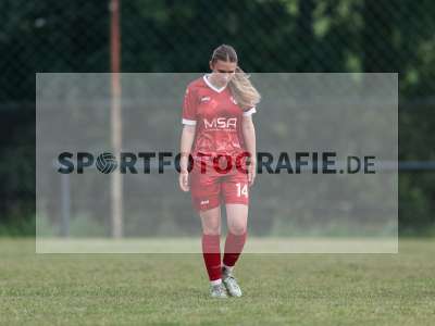 Bild-ID: 2576569