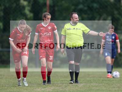 Bild-ID: 2576570