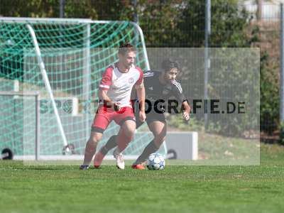 Bild-ID: 2576663