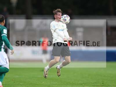 Bild-ID: 2579277