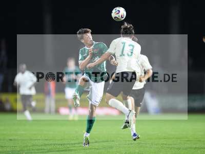 Bild-ID: 2579520