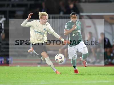Bild-ID: 2579605