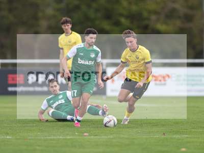 Bild-ID: 2579662