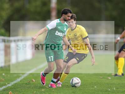 Bild-ID: 2579680