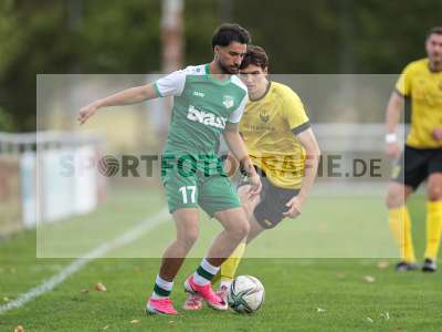 Bild-ID: 2579684