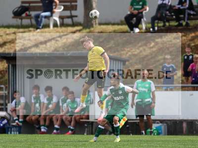 Bild-ID: 2579923