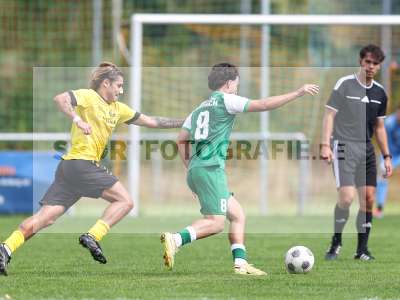 Bild-ID: 2579946