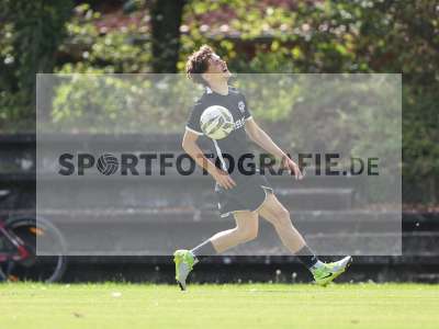 Bild-ID: 2579991