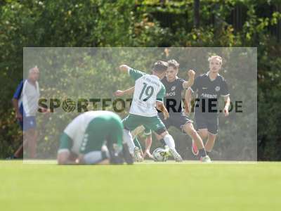 Bild-ID: 2580001