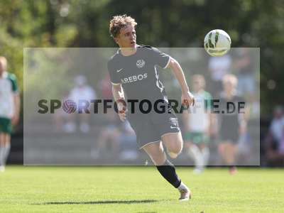 Bild-ID: 2580019