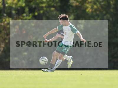 Bild-ID: 2580027