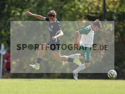 Bild-ID: 2580030