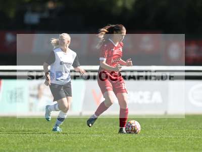 Bild-ID: 2581745