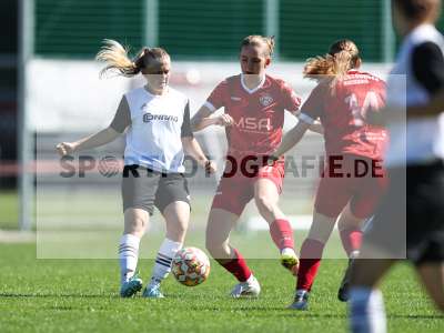Bild-ID: 2581751