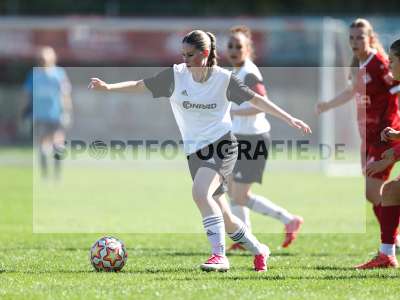 Bild-ID: 2581793