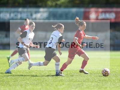 Bild-ID: 2581811