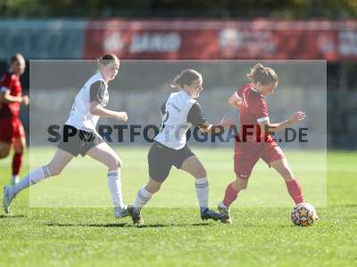 Bild-ID: 2581813