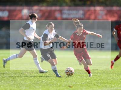 Bild-ID: 2581816