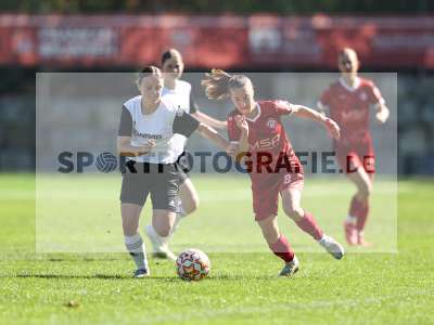 Bild-ID: 2581817