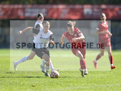 Bild-ID: 2581818