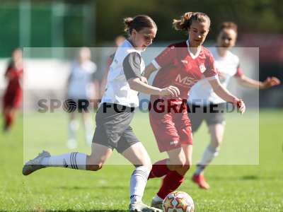 Bild-ID: 2581826