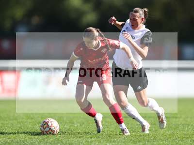 Bild-ID: 2581853