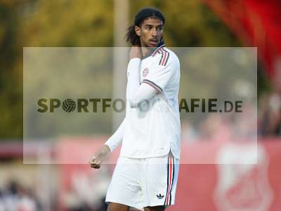 Bild-ID: 2585384
