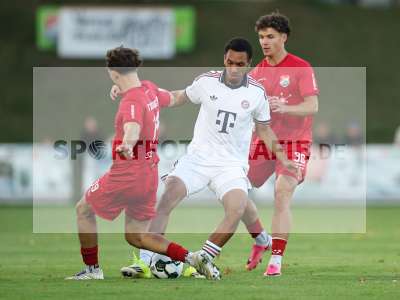Bild-ID: 2585388