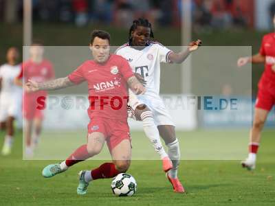 Bild-ID: 2585403