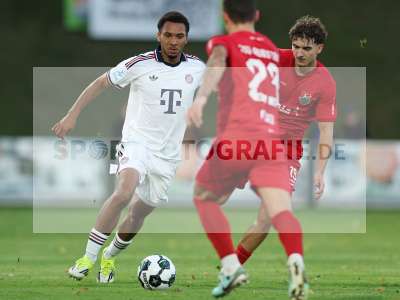 Bild-ID: 2585412